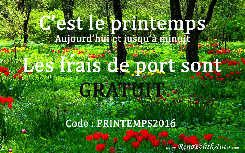 Code de réduction Renopolishauto Frais de port gratuit printemps 2016 Code de réduction Renopolishauto Frais de port gratuit printemps 2016