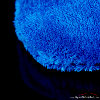 Gant de lavage Microfibres